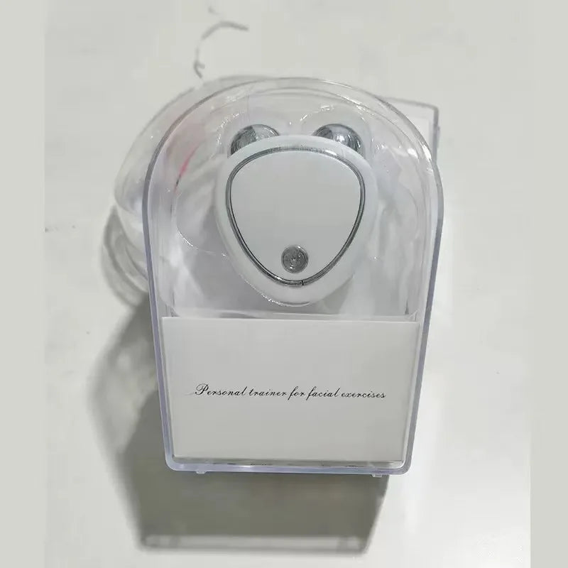 Household Facial Microcurrent Beauty Device Dual Roller